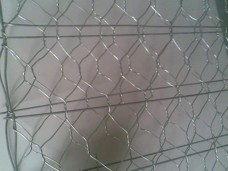 �ӽ���e�W(w��ng)