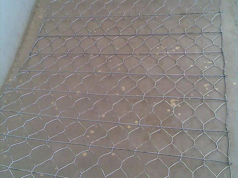 �ӽ���e�W(w��ng)