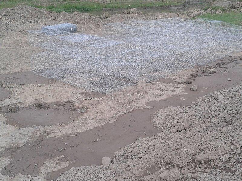 �U�z�W(w��ng)�\