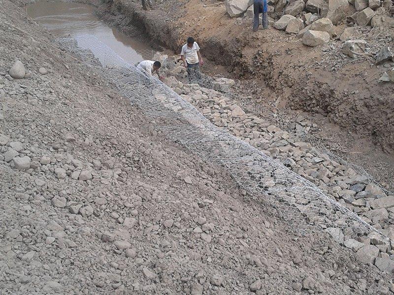 �U�z�W(w��ng)�\