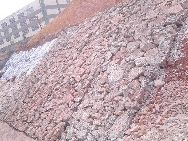 �o���U�z�\