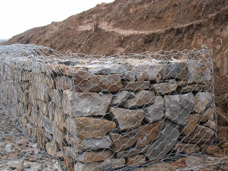 �䳲��W(w��ng)