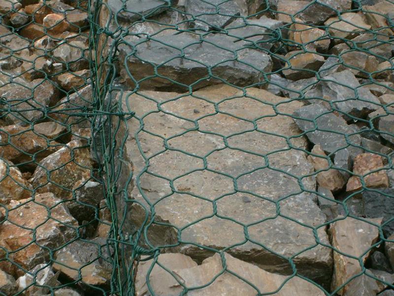 ���ܸ��e�W(w��ng)