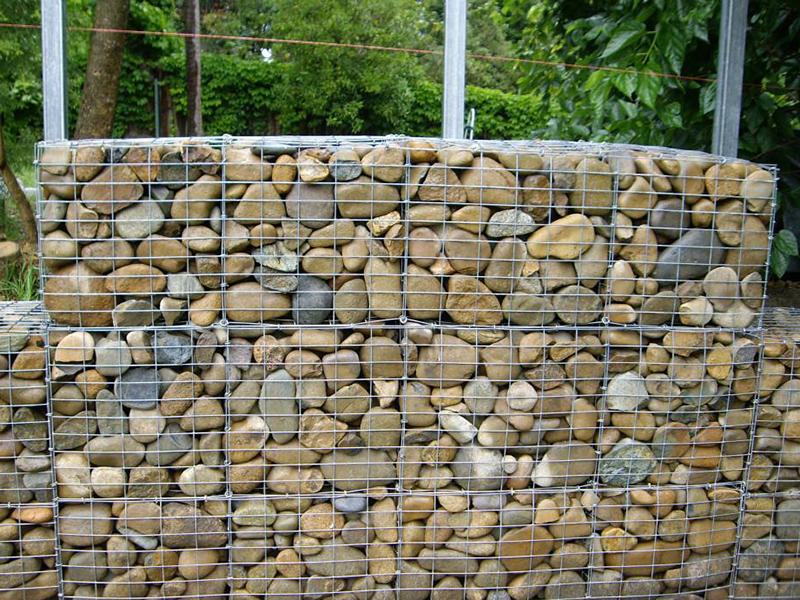 늺����e�W