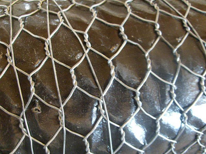 䓽z���e�W(w��ng)