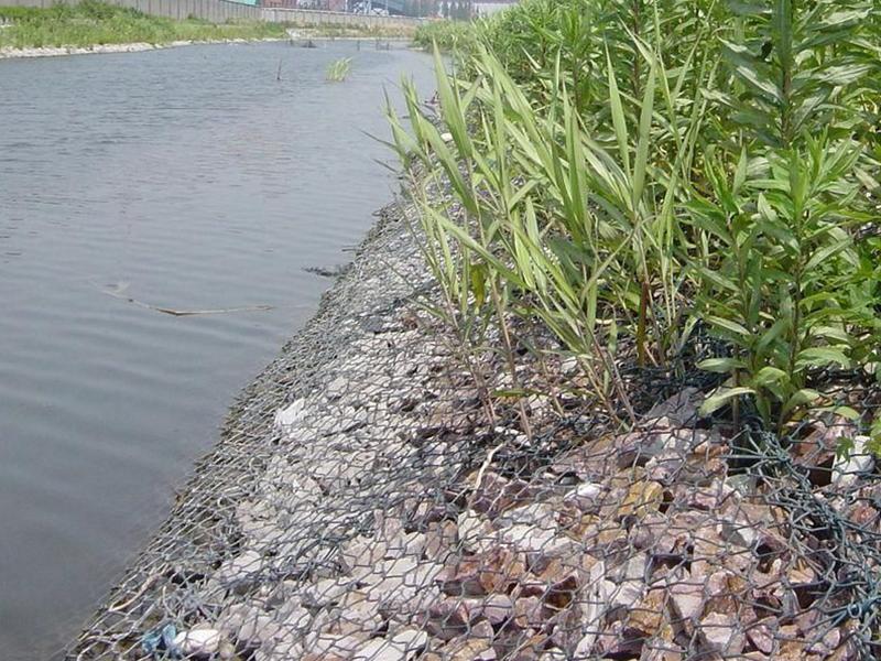 �o�����e�W