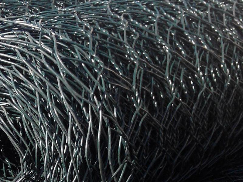 �������Z�o(h��)�|