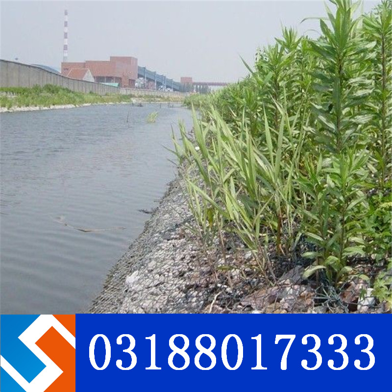 �V����ɫ���Z�o�|�ҽ���������