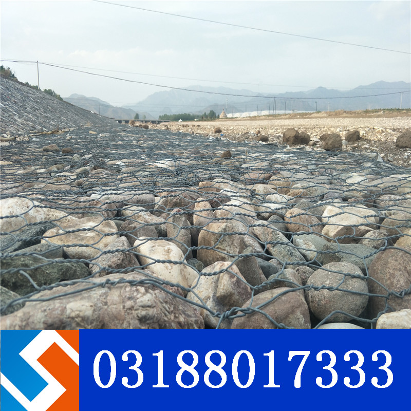 ���ܸ��e�W(w��ng)