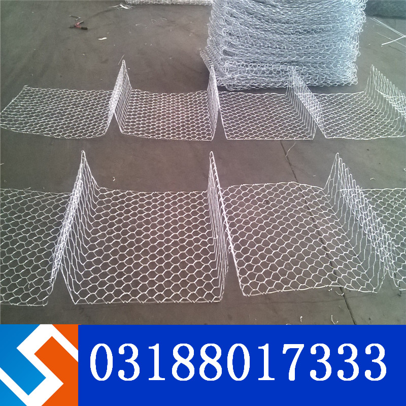 ���B(t��i)���Z�o(h��)�|��W(w��ng)�Y(ji��)��(g��u)����Щ��(y��u)�ݣ�