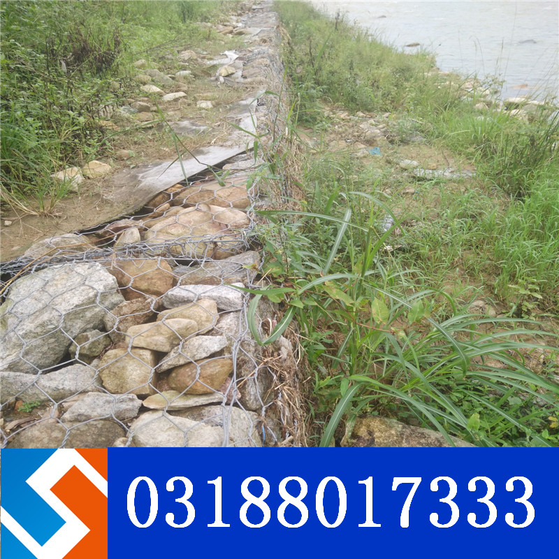 ����ʡ���{(l��n)���̷��o(h��)�������Z�o(h��)�|���O(sh��)Ӌ(j��)�c��(y��ng)��