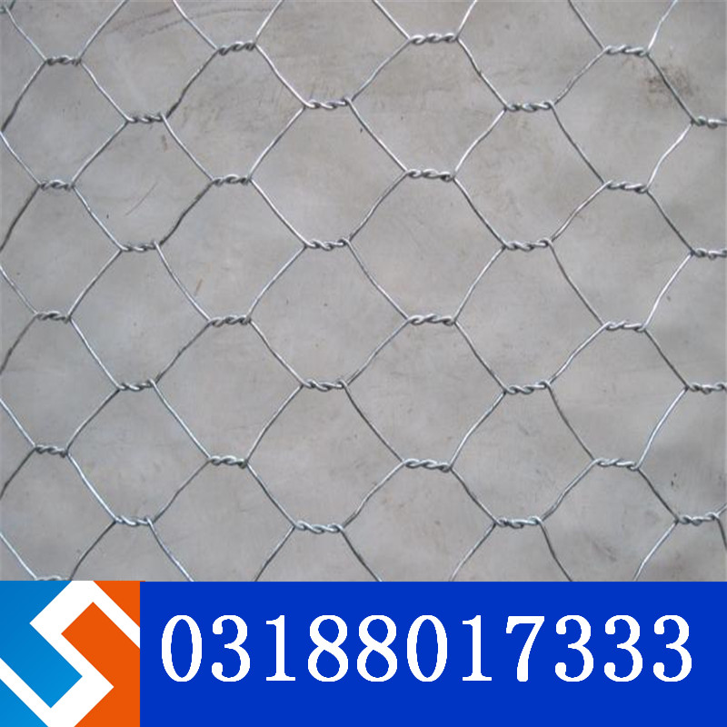 �����˲�������^(q��)����ƺ�(zh��n)���e�W(w��ng)���o(h��)���ι���