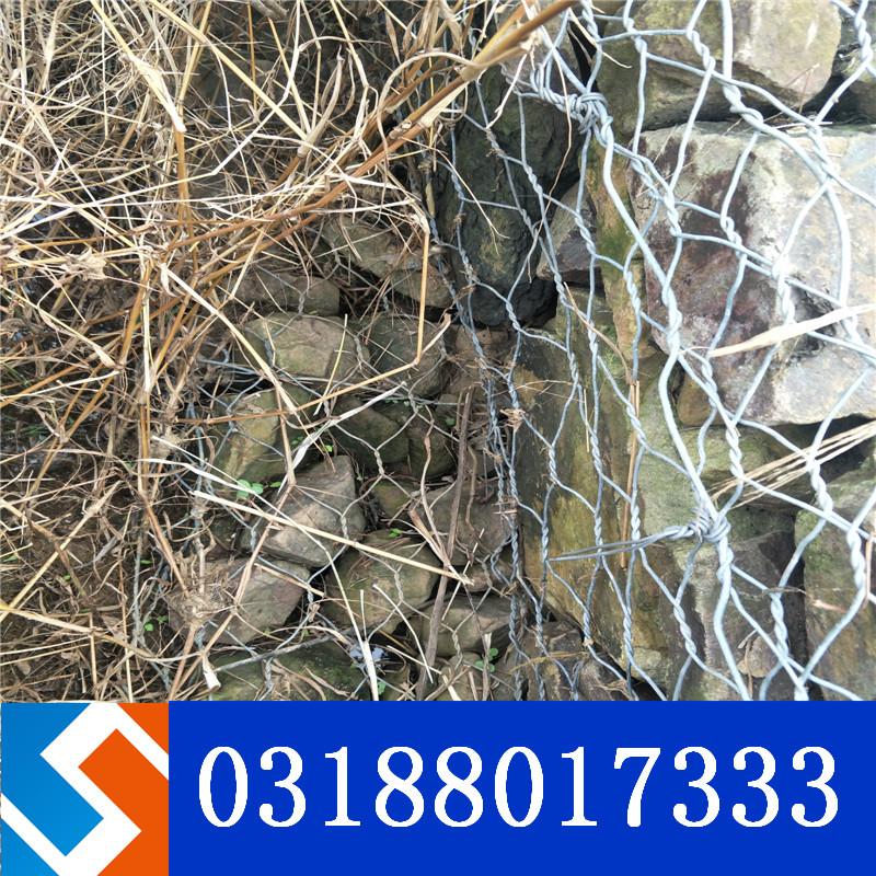 ��ƽ�h�����Ӹ��e�W�����ӵ��o������