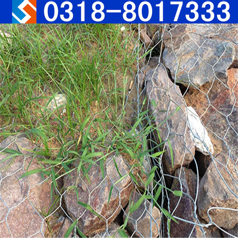 ���Z�o�| �����ڰ�Ȫ�����B�C����������