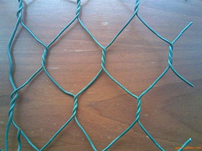 ���ܸ��e�W(w��ng)